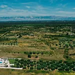 Olivetum Villa